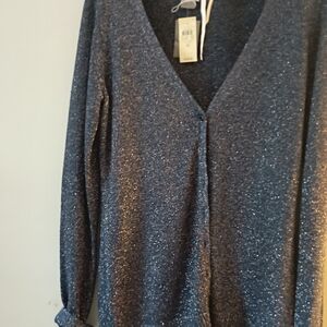 Ann Taylor Blue Sparkle Top